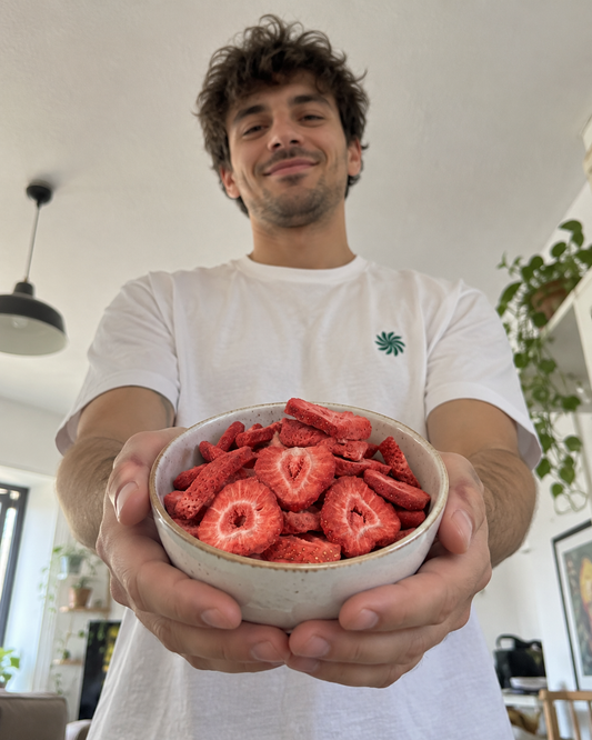 Erdbeeren – gefriergetrocknete Erdbeerscheiben