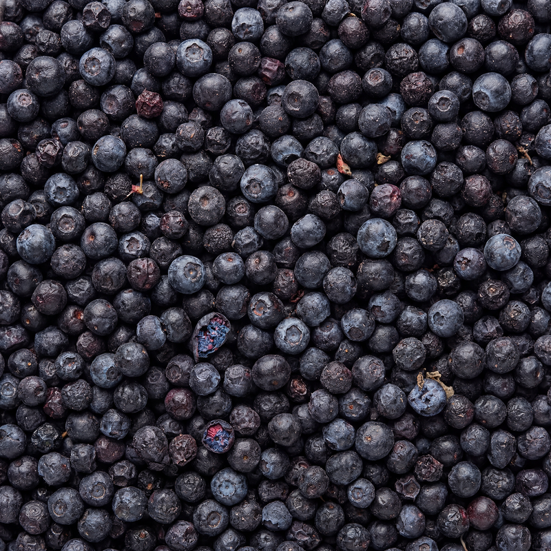 Arándanos silvestres – fruta entera liofilizada