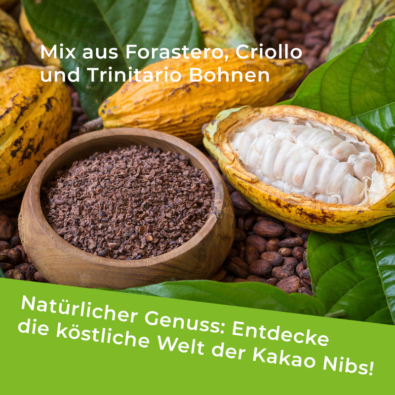 Nibs de cacao ecológico – crudos y sin aditivos