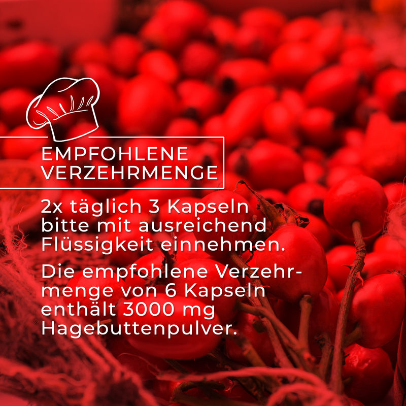 Cápsulas ecológicas de escaramujo – dosis diaria de 3000 mg
