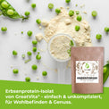 Proteína de guisante en polvo – aislado con un 82 % de proteína