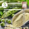 Proteína de guisante en polvo – aislado con un 82 % de proteína